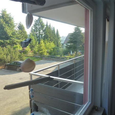 Moderne, Ruhige Ferienwohnung In Braunlage Harz Inkl Wlan & Netflix Kültér fotó