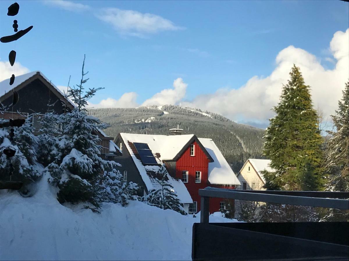 Moderne, Ruhige Ferienwohnung In Braunlage Harz Inkl Wlan & Netflix Kültér fotó
